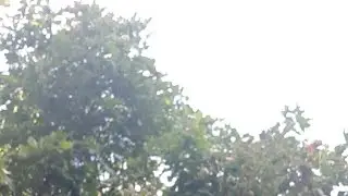 Dusart