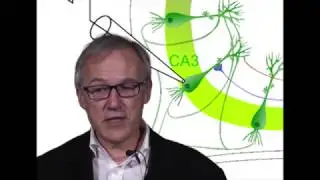 Thierry Amédée in Neurobiology of Aging /Alzheimer et PGE2: des relations enflammées...
