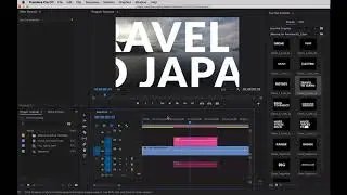 Massive For Premiere Help