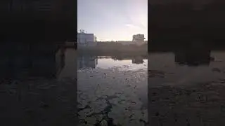Сколько стоит днк тест на ОТЦОВСТВО??? #природа #отдых #лето #подпишись #деньги