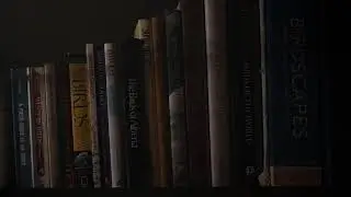 Freedom - Short Film