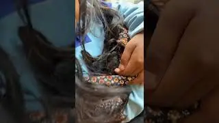 kucing manja