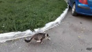 На химмаше