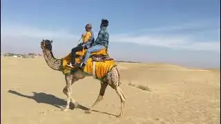 Sand dunes Bikaner