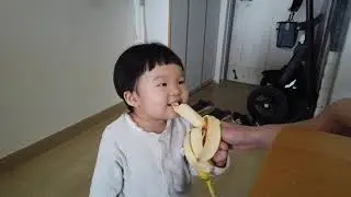 생애최초 바나나 먹방