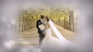 Share after effect project, free download after effect template - Wedding after effects template.