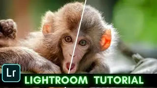 #7 || Lightroom photo editing tutorial || PicassoEditz ||
