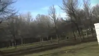 OMG!!! Golden Eagle is Snatching a Kid