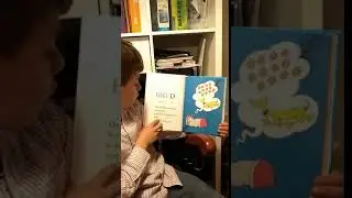Adam_8a