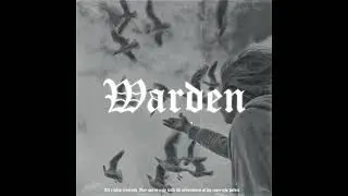 Guitar Type Beats - "Warden" #shorts