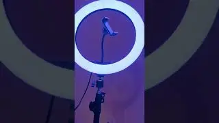 Кольцевая лампа TopRing. Обзор