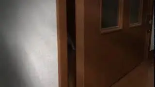 meomeocl 119 clip11