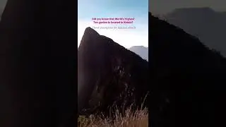 😳Did you know Kolukkumalai is the highest tea plantation in the world! Send us a DM for this visit🥳
