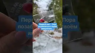 Первый снег... Время позаботиться о своем иммунитете.