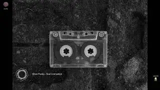 Silver Panda - Soul Connection