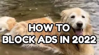 HOW TO BLOCK ALL ADS IN 2022 (TWITCH, YOUTUBE, ETC)
