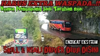 Hunting Perdana Tikungan ekstrim Endikat👽👽skill driver tingkat dewa‼️Jalanan Licin Diguyur Hujan‼️