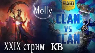 Molly Стрим XXIX Клановый турнир Raid: Shadow Legends