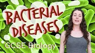 Bacterial diseases - GCSE Biology (Revision for 2020)