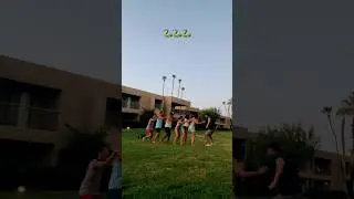 snake in the grass