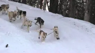 Iditarod 2011-Corral Hill---James Bardoner