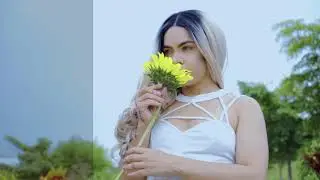 Demo Reel 2020