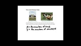 Cow and Chicken Task Solutions
