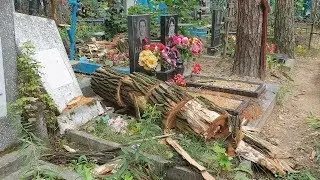 Ураган в Клинцах сильно разрушил кладбище.