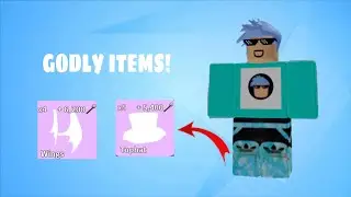 Godly player gives me Godly Hat! | Treasure Hunt Simulator