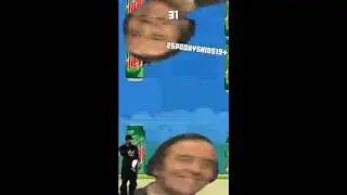 MLG Flappy Bird 157 (28 june)