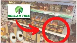 17 THINGS You * SHOULD * Be Buying at the DOLLAR TREE This Fall!