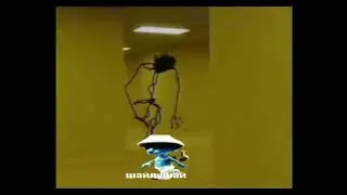 шайлушай в разных местах.