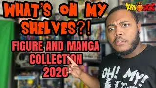 WHAT'S ON MY SHELVES?!: Manga and Anime Figure Collection (2020)