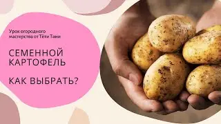 492. Суперсуперэлита, суперэлита и элита ...что предпочтительнее...
