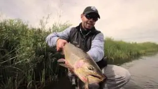The Animas™ & Landon Mayer HD