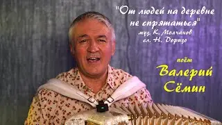 Песня под баян от ВАЛЕРИЯ СЁМИНА ❤️ 