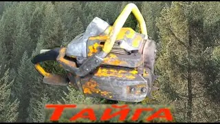 Chainsaw 