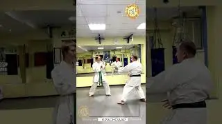Дзю иппон кумите йой но камаэ Вариант 18
