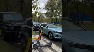 премиальный китай вытесняет немцев 