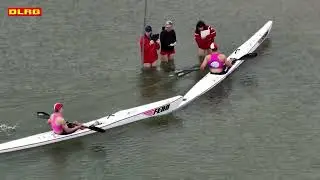 DLRG Landesmeisterschaften Freiwasser