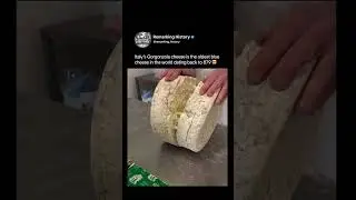 Oldest cheese