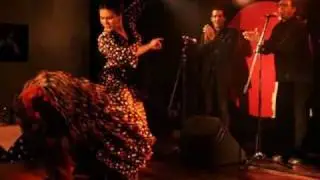 la marelu compadre - Mala Malita Mala.wmv