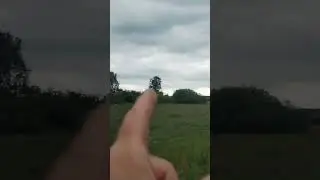 Ответ почему так поздно начинаем сенокос.