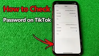 How to Check Your Password on TikTok | Full Guide