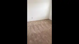 New Carpet Update for A Customer on TIkTok!