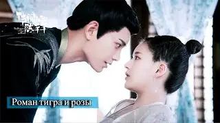 Роман тигра и розы. Романтическая комедия