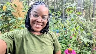 GARDENING in JULY🥵?! We CAN do this! (what I'm doing for continued success!) 