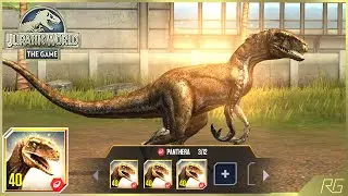 PANTHERA ATROCIRAPTOR X3 MAX LEVEL 40. PANTHERA FEEDING & BATTLE | Jurassic World The Game