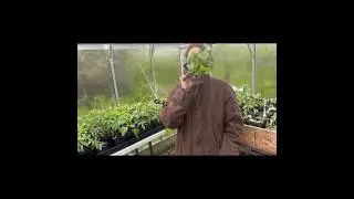 Try this space saving hack! #growyourown #homegardening #selfsufficiency