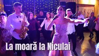 Georgiana Lobont - La moară la Niculai